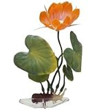 Water Lily - White - Medium - 8.5 in.