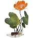 Water Lily - White - Medium - 8.5 in.