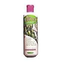 Jason Natural Products Shampoo Tea Tree Oil Therapy