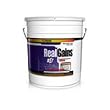 Real Gains 6.85 lb (Various Flavors) - Flavor Chocolate