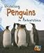 Watching Penguins in Antarctica (Heinemann First Library)