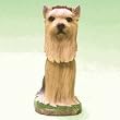 Yorkshire Terrier Bobble Head