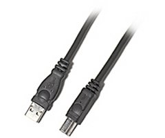 Belkin Pro Series USB2.0 Device Cable (A/B)- 6 feet