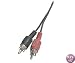 Recoton AC211 Audio Stereo RCA Patch Cable, (6 feet)