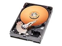 Western Digital Caviar WD800JB Special Edition - Hard drive - 80 GB - internal - 3.5 - ATA-100 - 40 PIN IDC - 7200 rpm - buffer: 8 MB