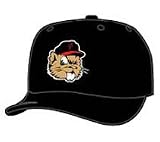 Minor League Baseball Cap - Portland Beavers Batting Practice Cap by New Era