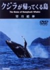 NWAĂ铇 [DVD]