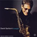 Revue David Sanborn  / Time Again