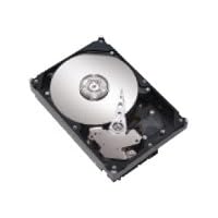 Seagate Barracuda 7200.9 - Hard drive - 160 GB - internal - 3.5 - ATA-100 - 7200 rpm -... by Seagate