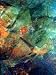 Abstracts: In Watercolor (In Watercolor Series)