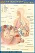 Quickstudy Respiratory System (Quick Study)
