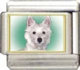 Clearly Charming West Highland White Terrier Italian Charm