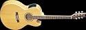 Washburn EA20SDL Acoustic-Electric Guitar, Natural
