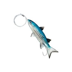 Live Split Tail Mullet 9 Rigged Blue by