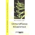 G�tterpflanze Bilsenkraut: Die Nachtschattengew�chse - Eine faszinierende Pflanzenfamilie