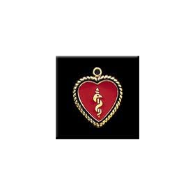10kt Fancy Frame Heart Shape Medical ID Pendant with Caduceus Medical Symbol in Red Enamel Background