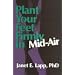 Plant Your Feet Firmly  in Mid-Air: Guidance Through Turbulent Change