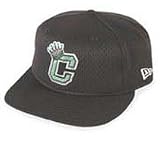 Minor League Baseball Cap - Clinton LumberKings Batting Practice Cap by New Era