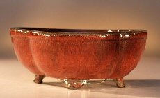 Bonsai Boy's Round Petal Shape - Glazed Parisian Red<br>10.5x8.5x4.0