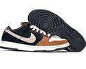 Nike SB "720 Degrees" Dunk Low