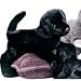 Stuffed James Black Lab
