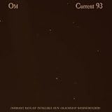 Inerrant Rays of Infallible Sun EP [10" VINYL]