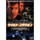 ワイルド・スタリオン