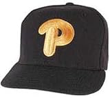 Pittsburgh Panthers Fitted 5950 Wool Cap