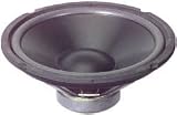 Goldwood GW-410D 10 Poly DVC Subwoofer