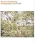 The Art of Collecting Photography (General)