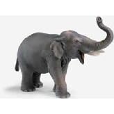 Schleich Male Indian Elephant
