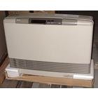 RINNAI DIRECT VENT WALL FURNACE