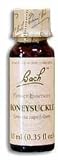 Bach Flower Essences Honeysuckle - 20 ml.