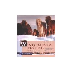 Wind in der M�hne