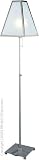 Lite Source Kogo Stainless Steel Floor Lamp