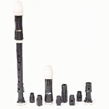Rhythm Band Aulos Classroom Recorder Soprano for Disabled A204AF