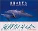 楽園の友だち―DOLPHINS,FRIENDS OF THE EARTH (BIG SPIRITS BOOKS)