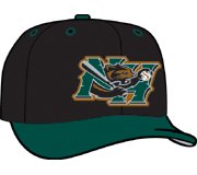 Minor League Baseball Cap - New Hampshire Fisher Cats Home Cap by New Era