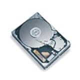MAXTOR DiamondMax Plus 9 - 250GB U133 Internal IDE Hard Drive