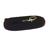 Pet Supplies : Aspen Pet 20' Heavy Duty Training Lead