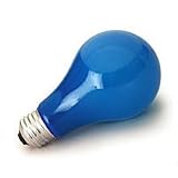 BCA 250w 120V Photoflood Lamp 4800K