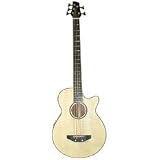 Acoustic Bass Guitars