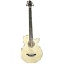 5-String Acoustic Electric Bass