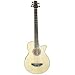 5-String Acoustic Electric Bass