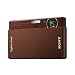 Sony Cybershot DSC-T77 10MP Digital Camera with 4x Optical Zoom with Super Steady Shot Image Stabilization (Brown)