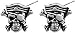 Skull Pirate Silver Tone Pewter Stud Earrings