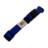NYL EZ LATCH MD COLLAR-BLUE