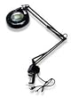 LumaPro 4PD46 Magnifier Light, 22 W