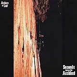 Archers of Loaf - Seconds Before the Accident