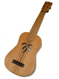 Concert Palmtree Sound Hole T30270b